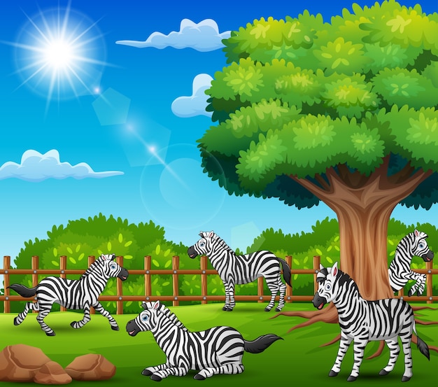 Die Zebras genießen die Natur am Käfig