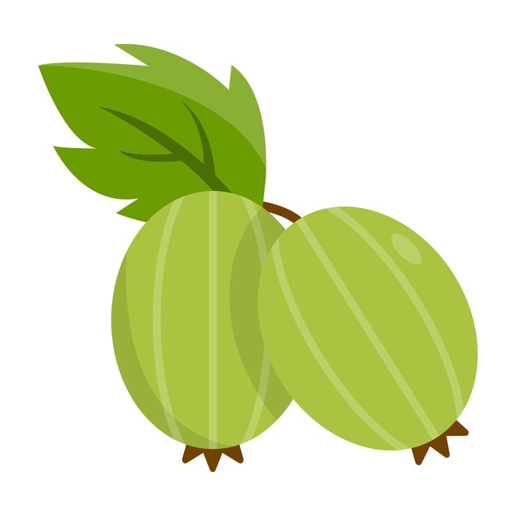 Die Zeichentrickfilm-Illustration von Gosebeery Fruit