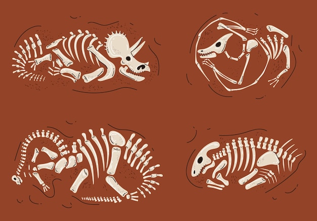 Dinosaurier-fossil-skelett unter der erde alte knochen-paleontologie isolierter satz