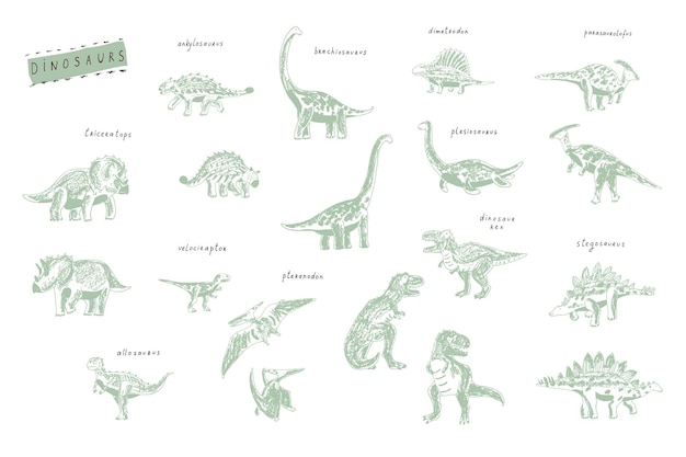 Dinosaurier-illustrationen, vektor-doodle-set mit handgezeichneten namen