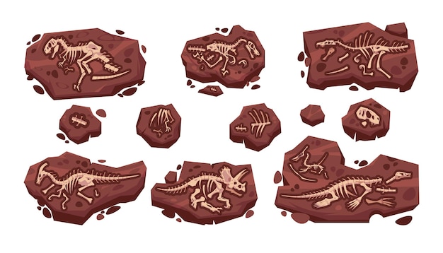 Dinosaurierfossil Cartoon antike paläontologische Ausgrabung mit prähistorischen Jura-Dino-Skeletten isolierte wilde Raubtier-Eidechsenknochen im Boden Vektorarchäologische Sammlung ausgestorbener Reptilien