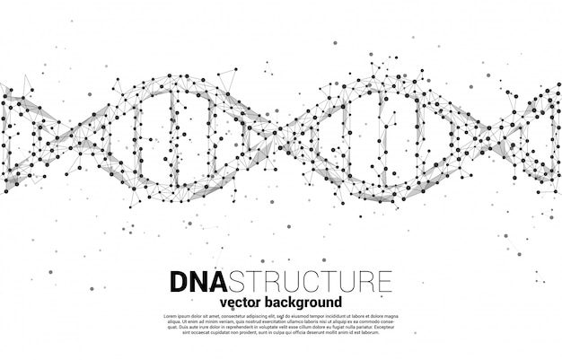 Dna-genetische struktur aus punktverbindungslinienpolygon. hintergrundkonzept für biotechnologie und biologie wissenschaftlich.