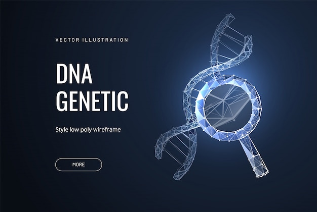 Dna-kette in lupe