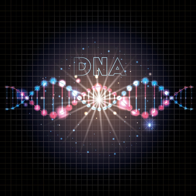 Dna-molekül auf der linie beleuchtet