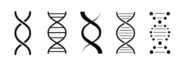 DNA-Molekül-Satz DNA-Ikonen auf weißem Hintergrund DNA-Vektor-Illustration