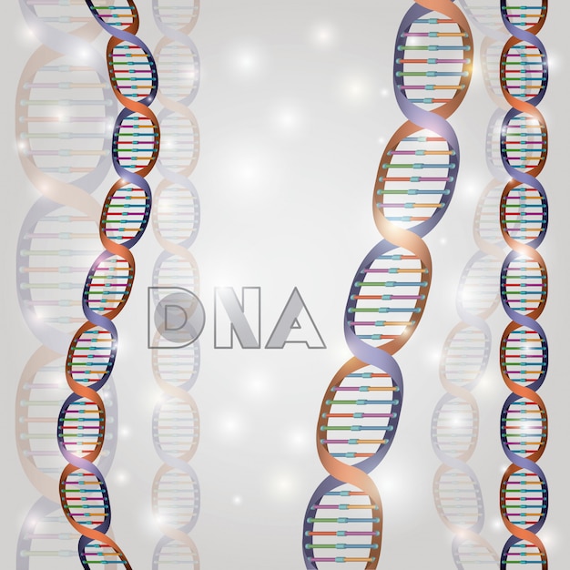 Dna-molekülstruktur