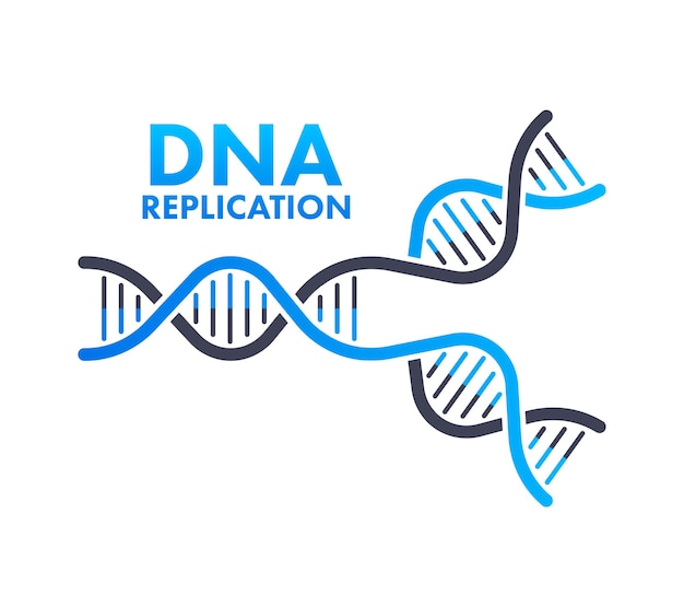 Dna-replikation dna-moleküle molekularbiologie stock illustration