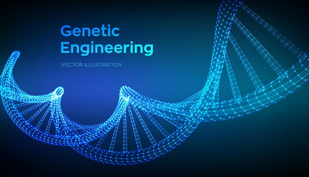 DNA-Sequenz. Drahtmodell-DNA-Molekülstrukturmasche.