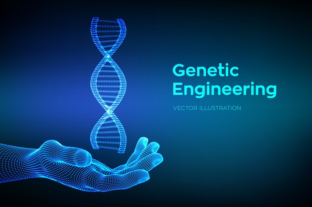 DNA-Sequenz in der Hand. Drahtmodell-DNA-Molekülstrukturmasche.