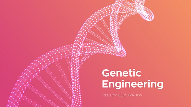 DNA-Sequenz. Wireframe DNA-Codemolekül-Strukturmasche.