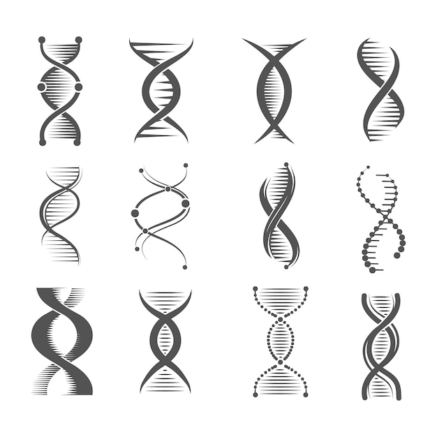 DNA-Spirale-Symbole. Forschungsmolekül der Schneckenmenschentechnologie und medizinische und pharmazeutische Symbole des Chromosoms