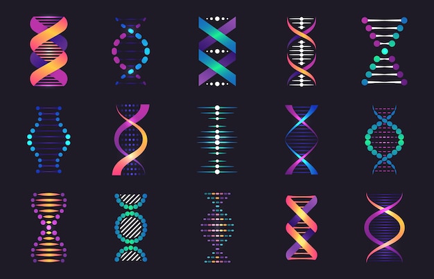 Vektor dna-spiralsammlung biotechnologie und genetische forschungsmodelle dna-helix und chromosom