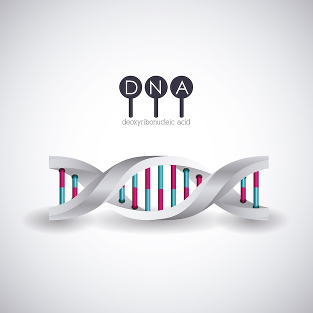 Vektor dna-struktur chromosom-symbol