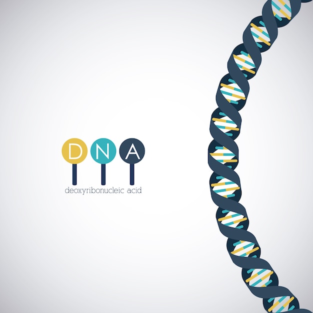 DNA-Struktur Chromosom-Symbol