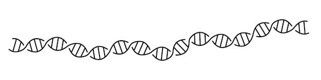 Vektor dna-symbol langer genetischer molekülstruktur editierbarer strich