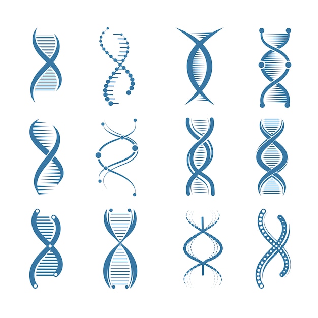 Vektor dna-symbole. symbole der medizinischen wissenschaftlichen vertreter der menschlichen struktur der genetischen biologie lokalisiert