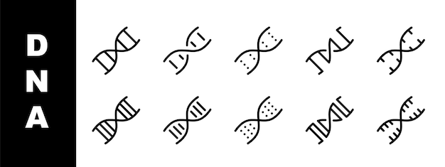 Vektor dna-symbolsatz dünne liniensymbole editierbarer strich