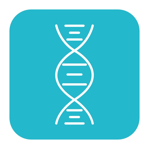 DNA-Vektorisierung