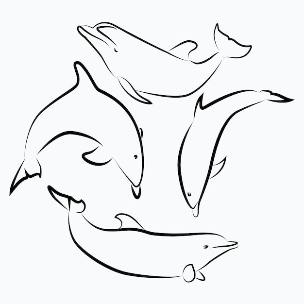 Dolphin Line Art Sketch Vektor-Illustration