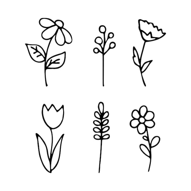 Doodle-blumenelemente abstrakte handgezeichnete vektorzweige und minimalistische blumenillustration