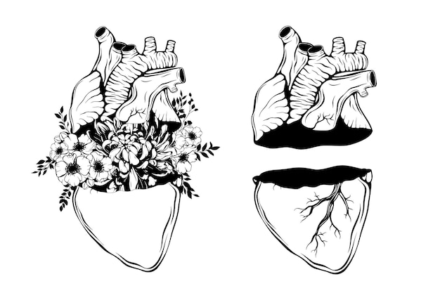 Vektor doodle-hintergrund mit realistischen menschlichen herzblumen für valentinstag-grußkarte hochzeit