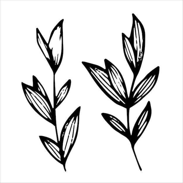 Doodle-Set mit Blumenelementen in einem Linienstil