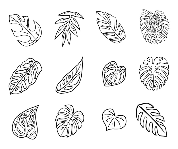 Doodle tropische Pflanze Blatt-Symbol