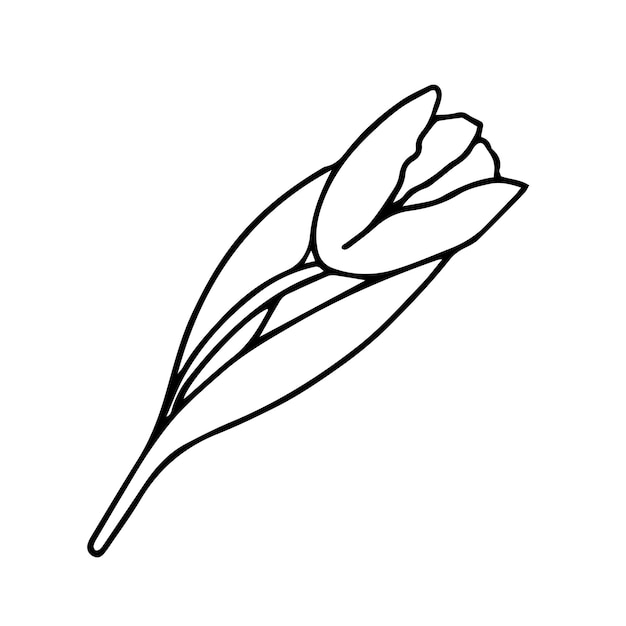 Doodle Tulpenblumen für internationale Frauen ist Tag