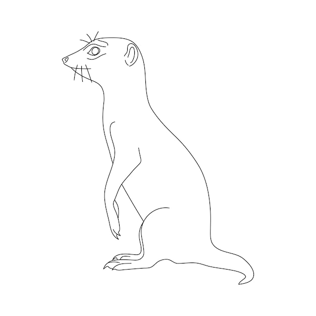 Doodle von Erdmännchen handgezeichnete Vektorillustration