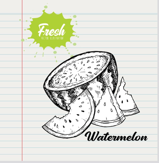 Vektor doodle wassermelonenstücke auf weißem papierhintergrund