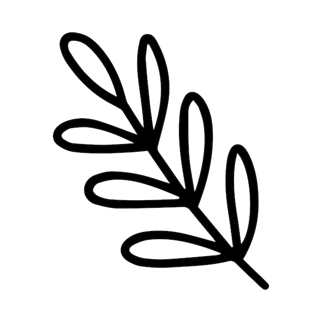 Vektor doodle-zweig der blume vektor-zweig mit blättern abbildung handgezeichnetes doodle-kraut isoliert