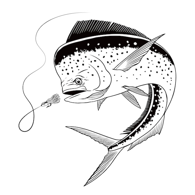 Vektor dorado-fisch handgezeichnete illustration schwarz-weiß