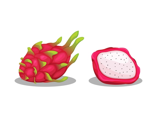 Drachenfrucht alias pitahaya oder erdbeerbirne objektsatz illustrationsvektor