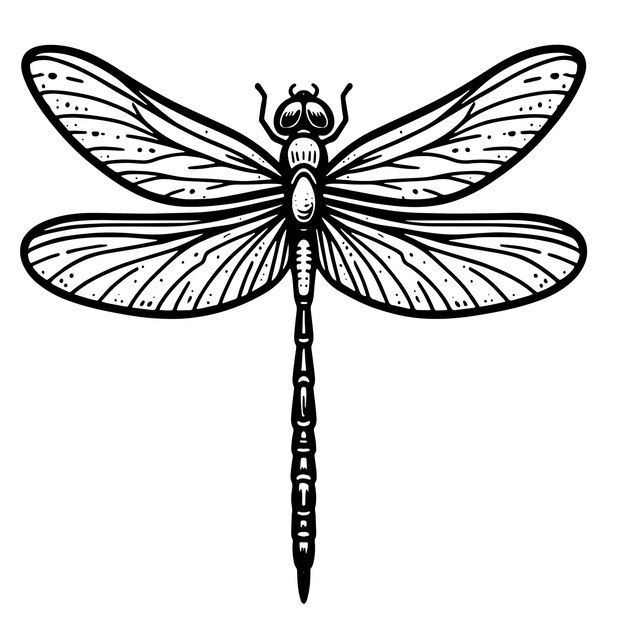 Vektor dragonfly svg