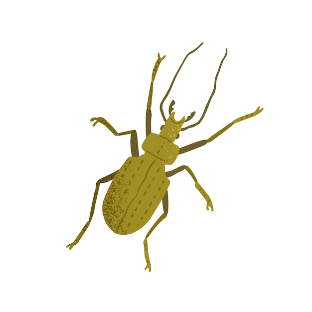 Draufsicht auf laufkäfer mit hörnern, langen beinen und antennen. grünes insekt isoliert auf weißem hintergrund. farbige flache strukturierte vektorillustration des käfers.