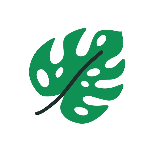 Draufsicht auf monstera-palmblatt mit stiel. einfache farbige ikone der trendigen laubpflanze. flache vektorillustration des grünen botanischen elements lokalisiert auf weißem hintergrund.
