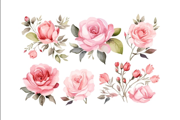 Druck Aquarell Blumen Schmetterling Illustration Handgemalt Natur Kunst Garten Blüte Blüte