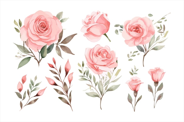 Druck Aquarell Blumen Schmetterling Illustration Handgemalt Natur Kunst Garten Blüte Blüte
