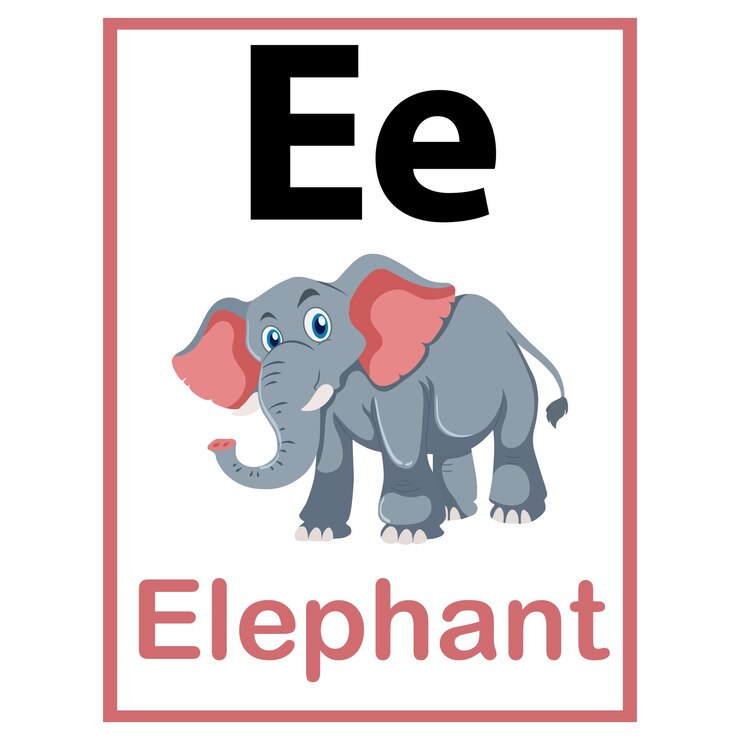 Vektor e für elefanten