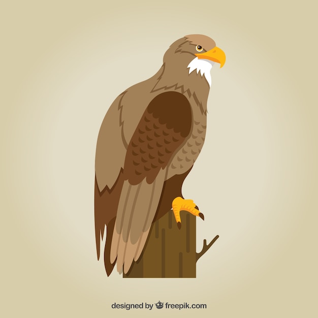 Eagle-Illustration