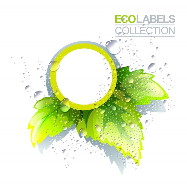 Eco-Label-Vorlage