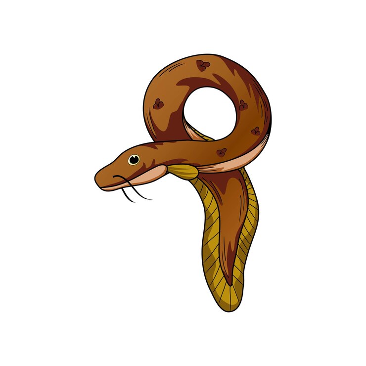 Vektor eel_vector_illustration (aufzeichnung des fahrzeugs)