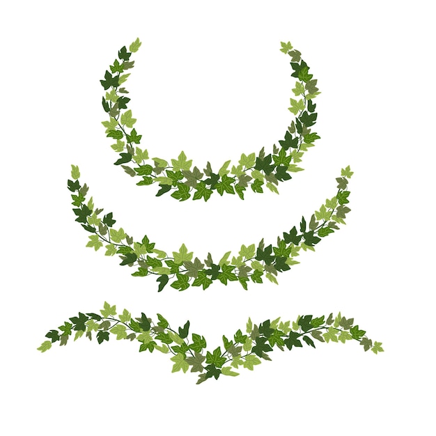 Vektor efeu kränze grüne kriechpflanze dekorative gestaltungselemente