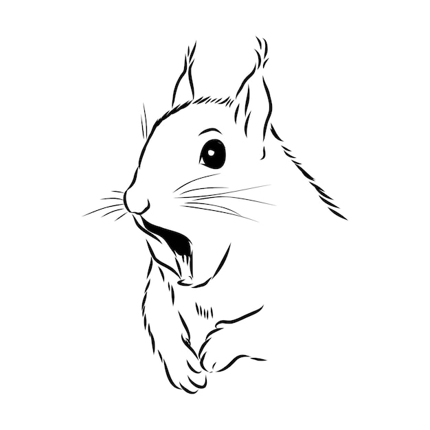 Eichhörnchen. hand gezeichnete skizzenillustration lokalisiert auf weißem hintergrund