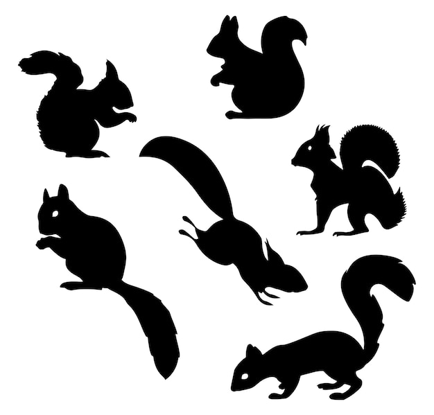 Vektor eichhörnchen-silhouette set vektorillustration isoliert auf weißem hintergrund