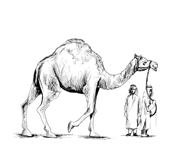 Eid Mubarak Arabischer Mann, der mit einer Kamelskizzen-Vektorillustration steht