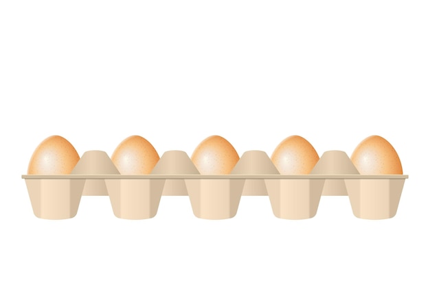 Eier im Karton