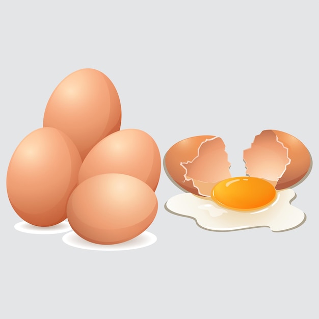 Eier zerbrochene Eier Illustration Vektordesign
