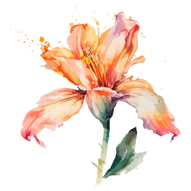 Ein Aquarellgemälde einer Blume mit einem Stiel und dem Wort Lilie darauf.