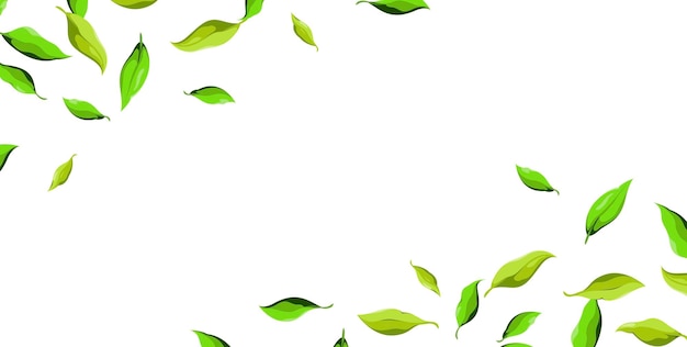 Ein Banner mit frischen grünen Blättern Eine horizontale Vorlage Vektorillustration
